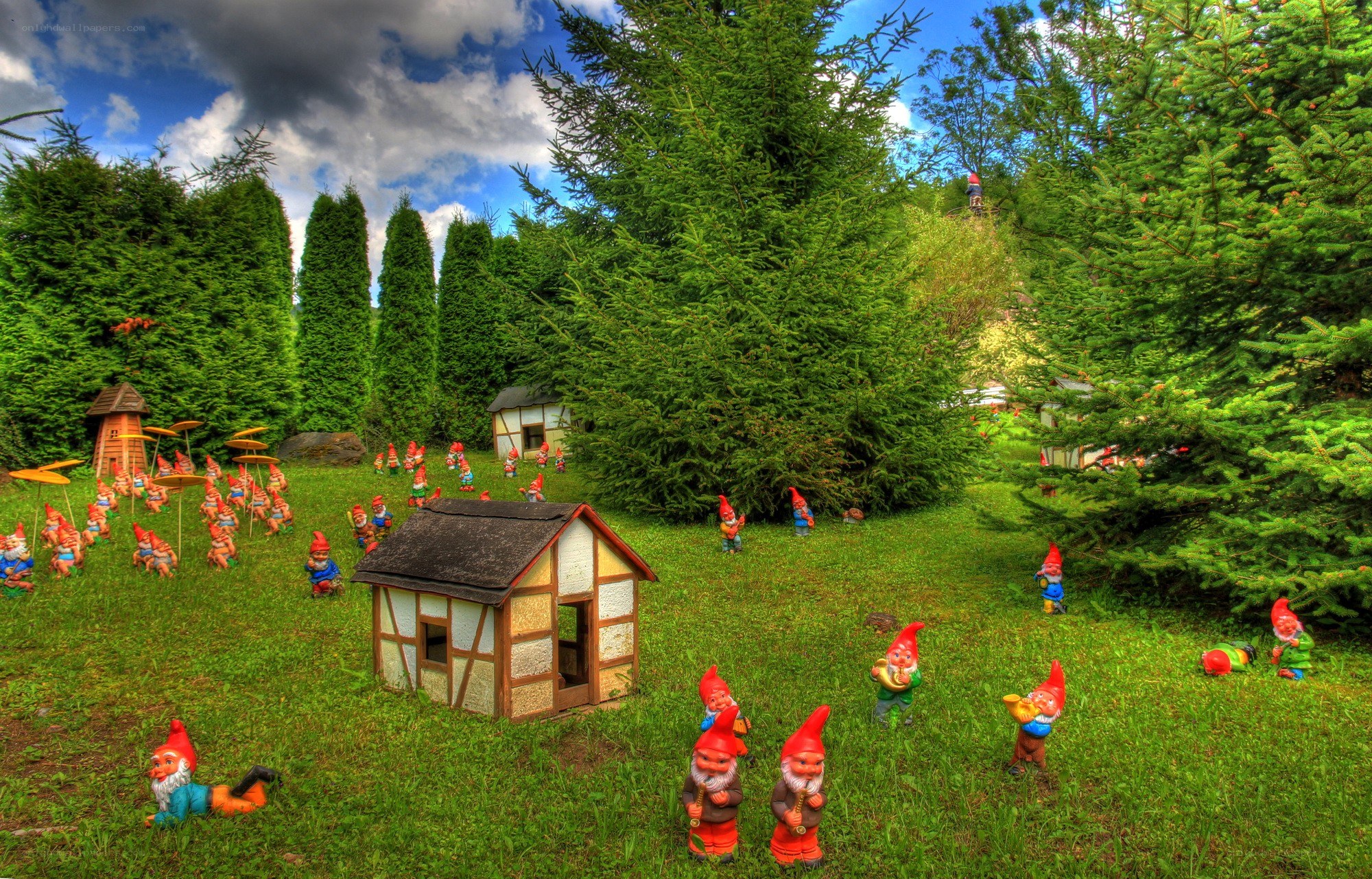 Garden gnomes in a forest