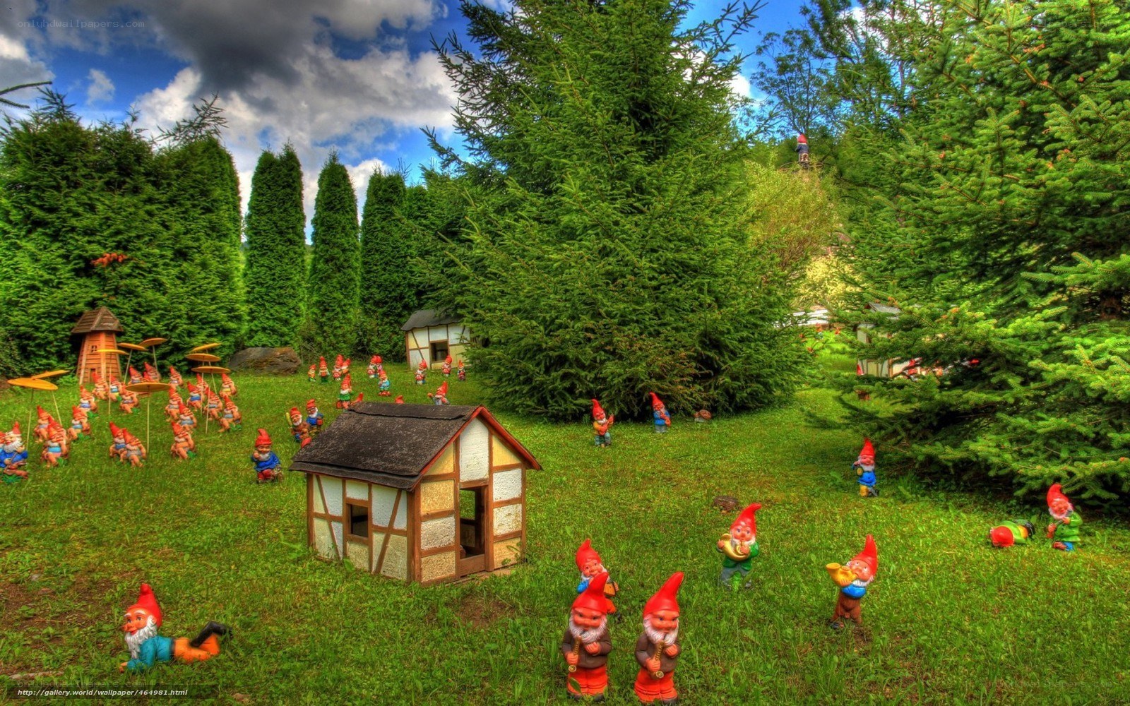 Garden gnomes in a forest