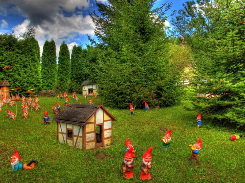 Garden Gnomes in Yard