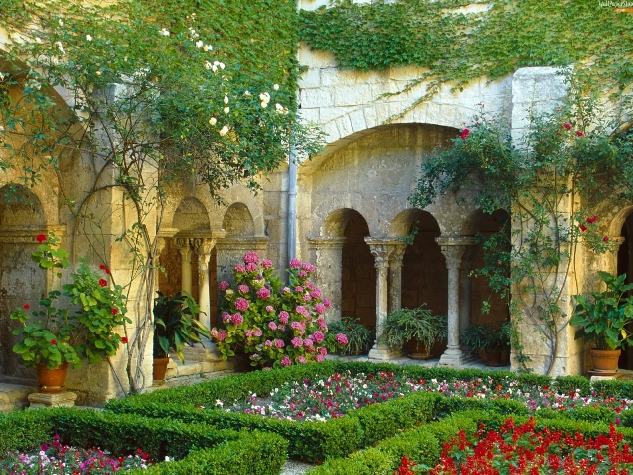 Garden in a stone courtyard