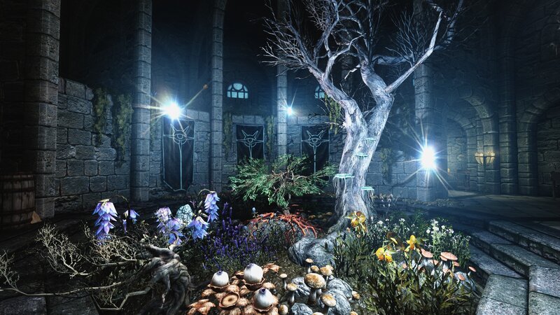 Garden in Stone Hall