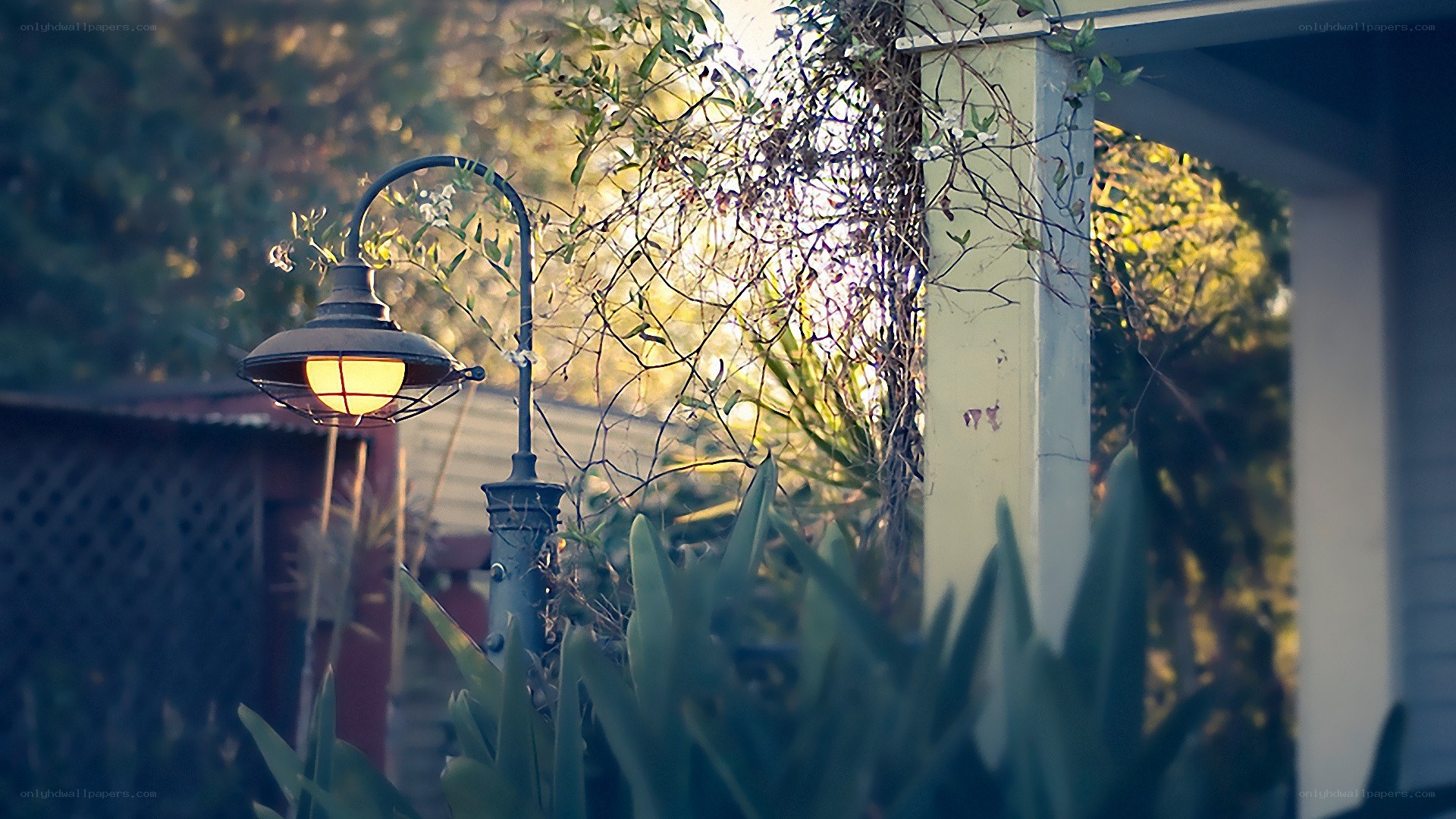 Garden lamp at dusk