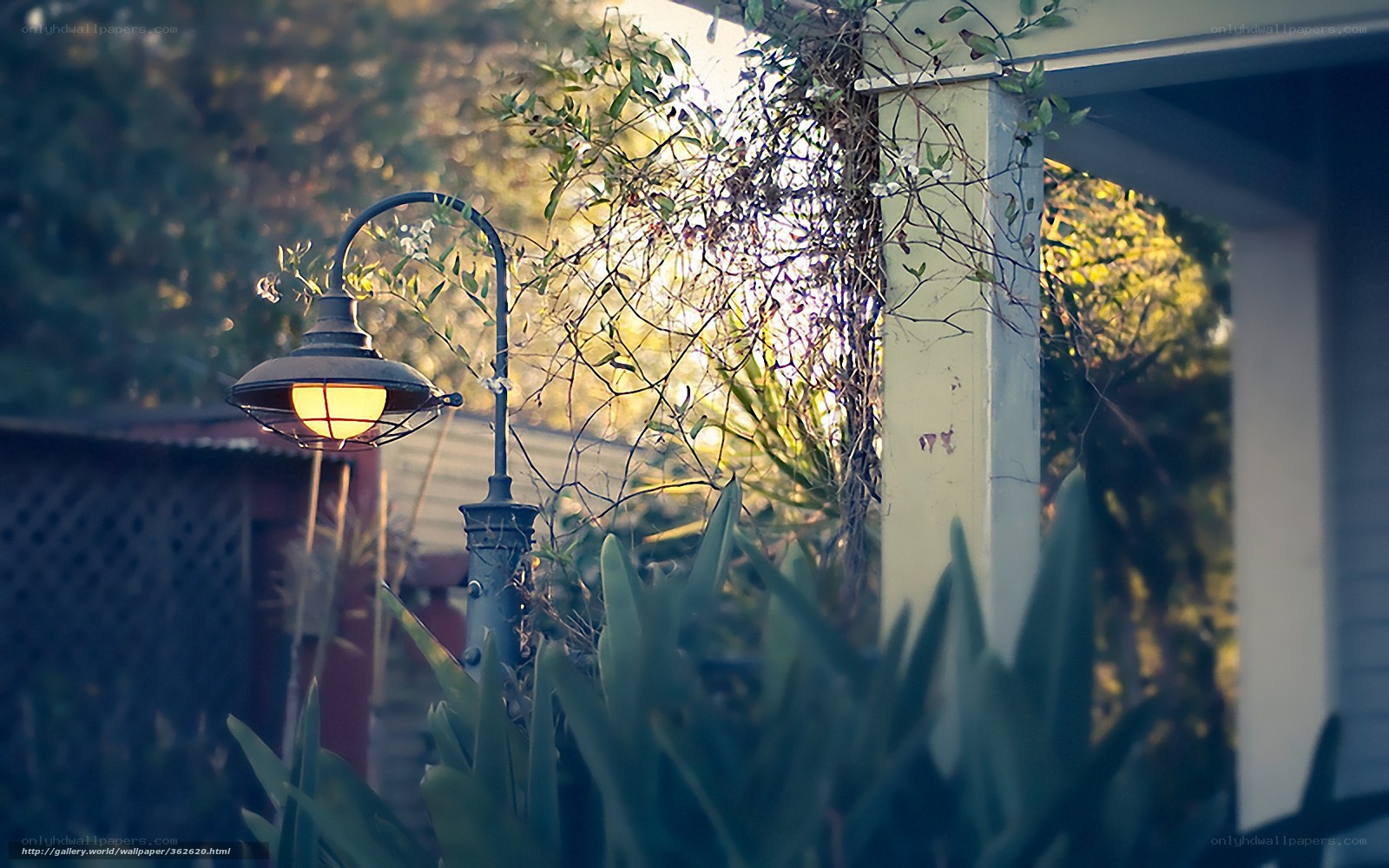 Garden lamp at sunset