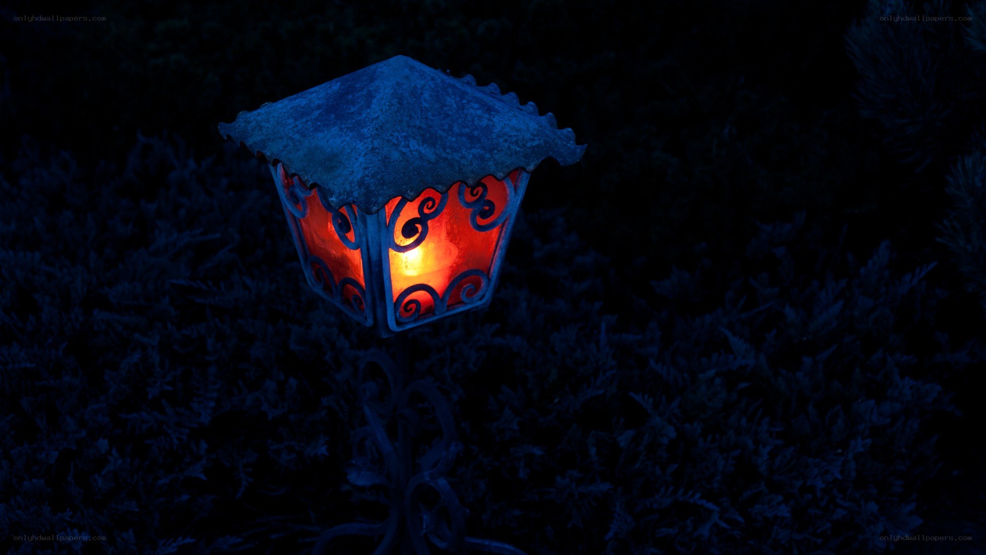 Garden lantern at night