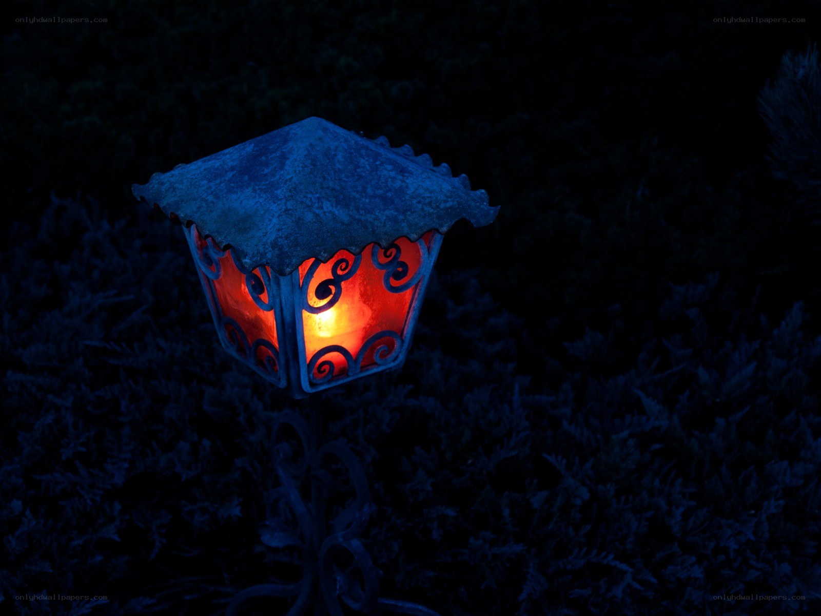 Garden lantern at night