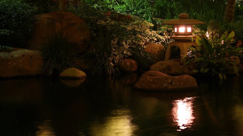 Garden lantern by a pond