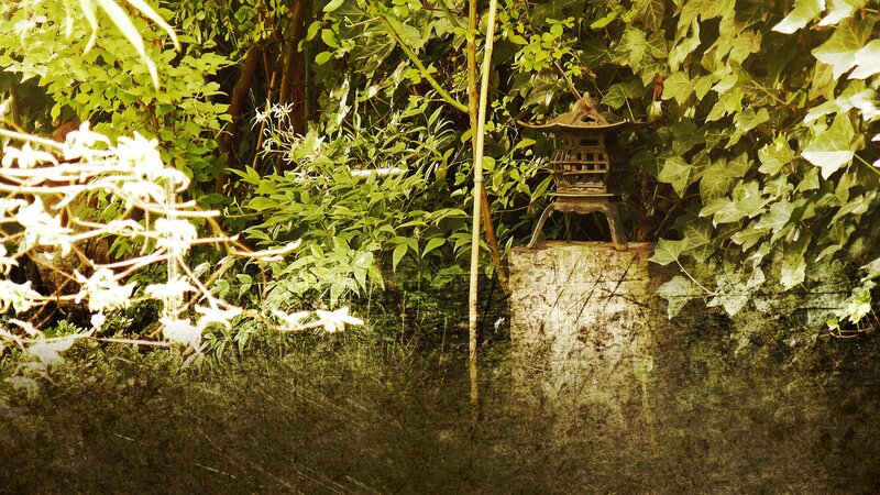 Garden lantern in lush greenery