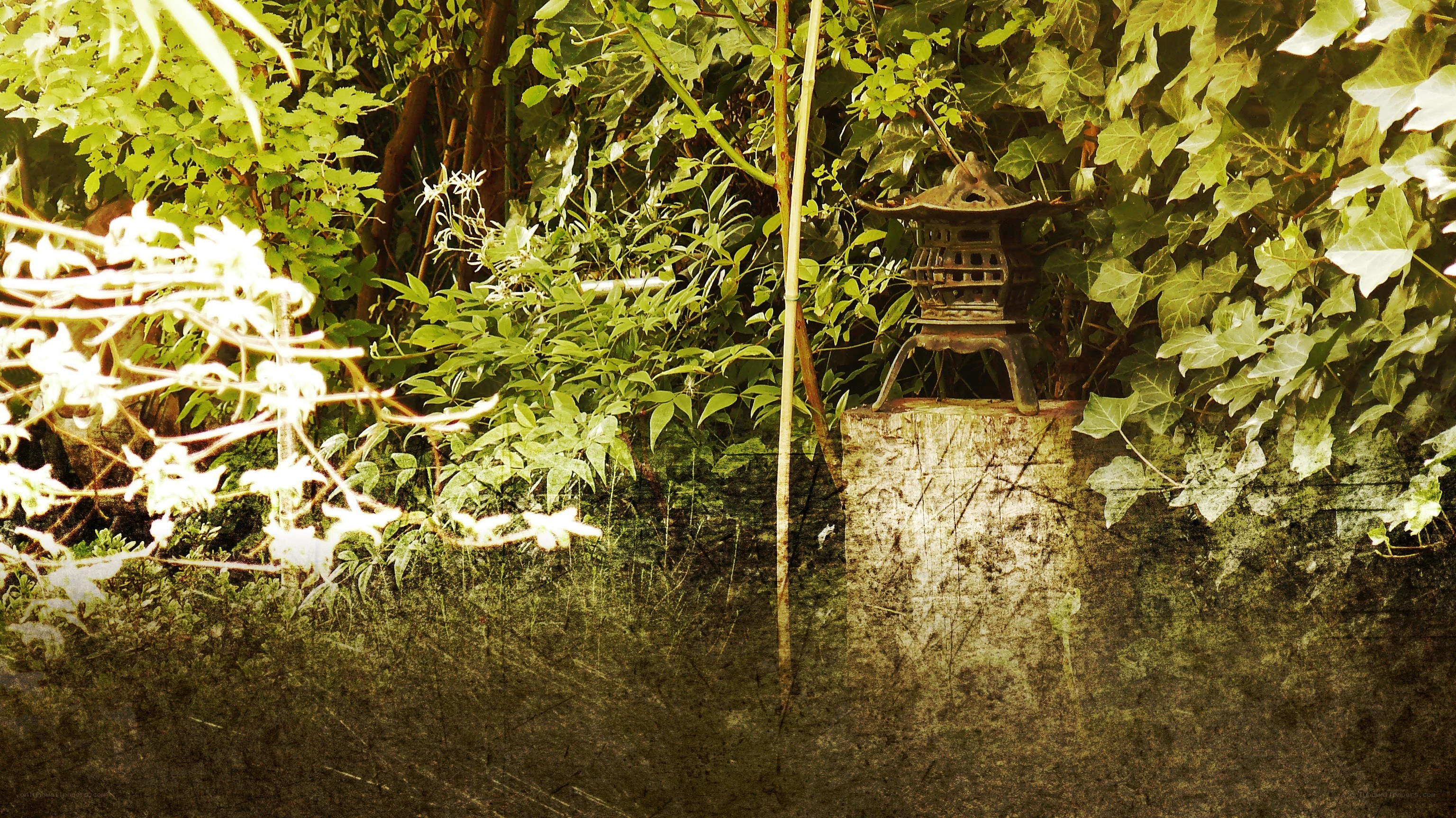 Garden lantern in lush greenery