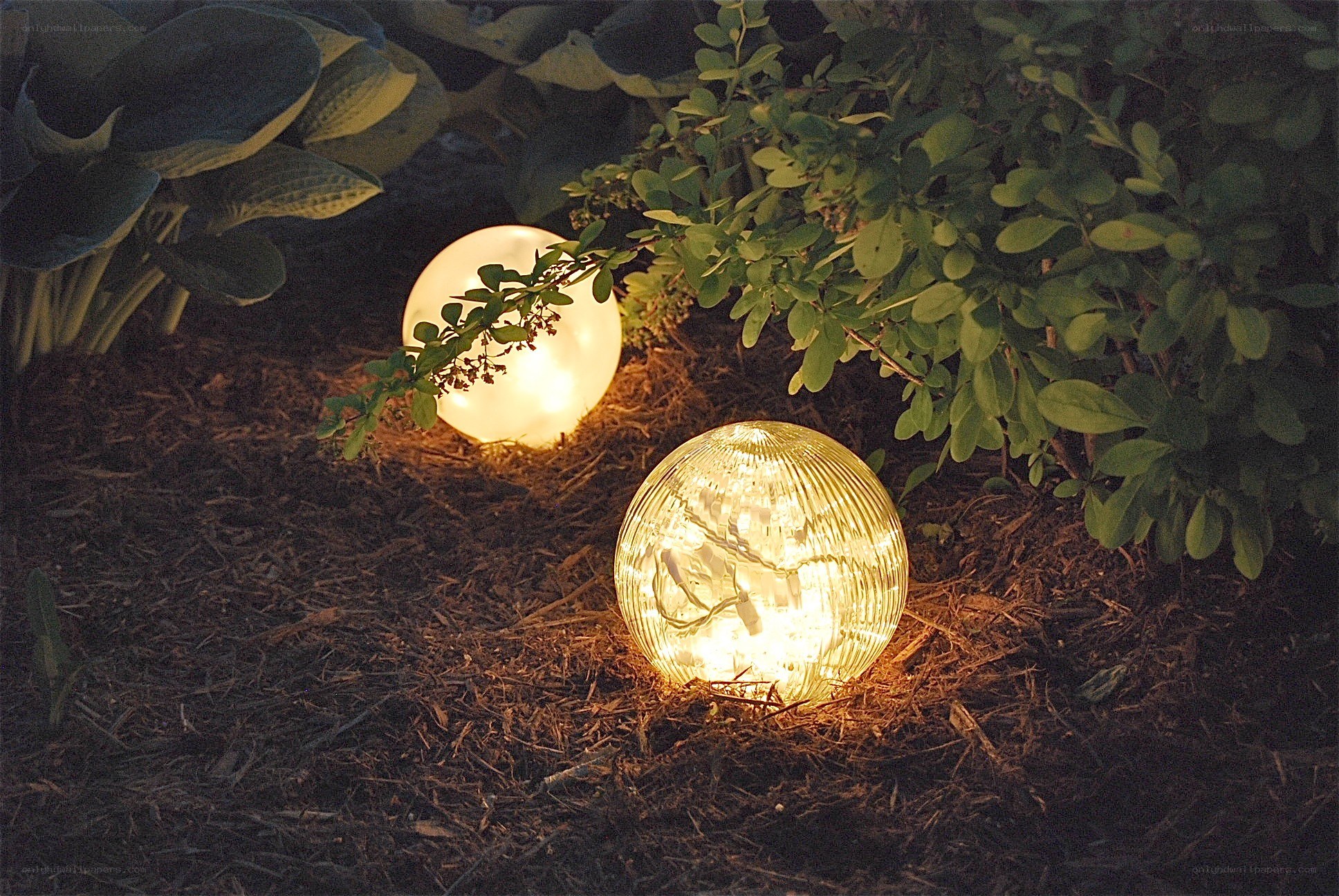Garden lights at night