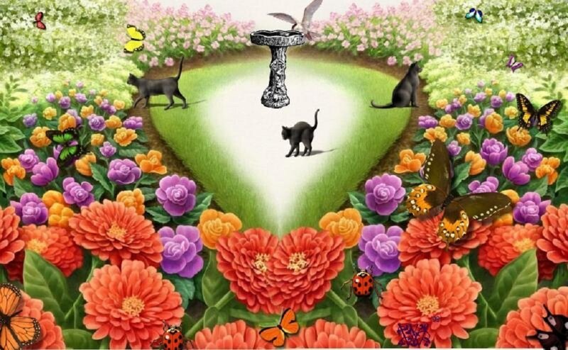 garden of cats and flowers