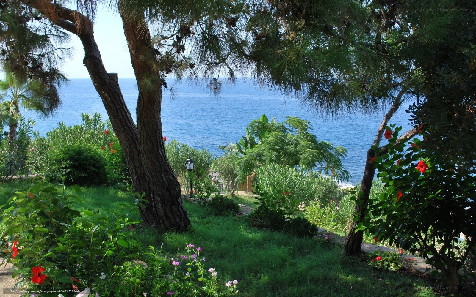 Garden overlooking the sea