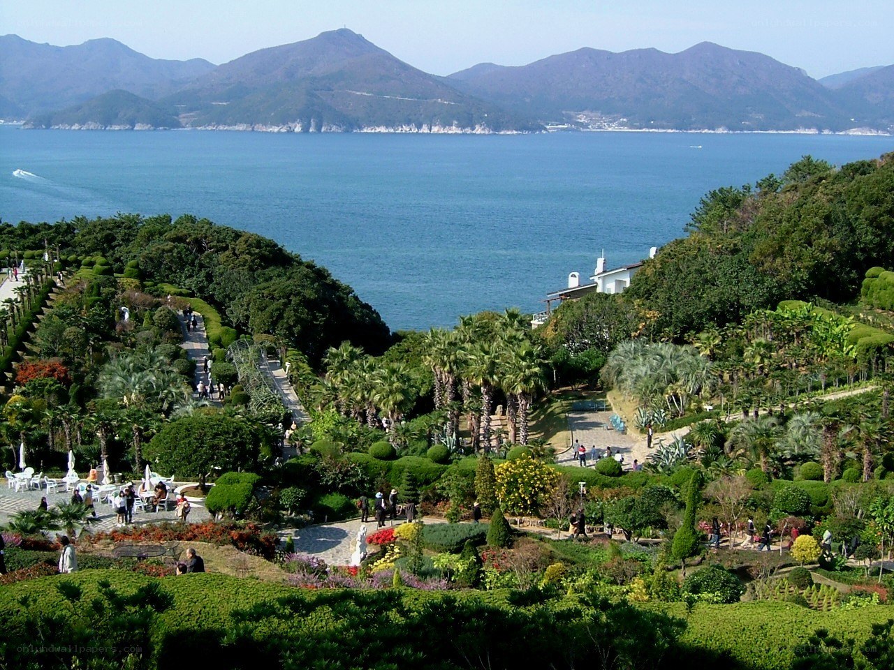 Garden overlooking the sea