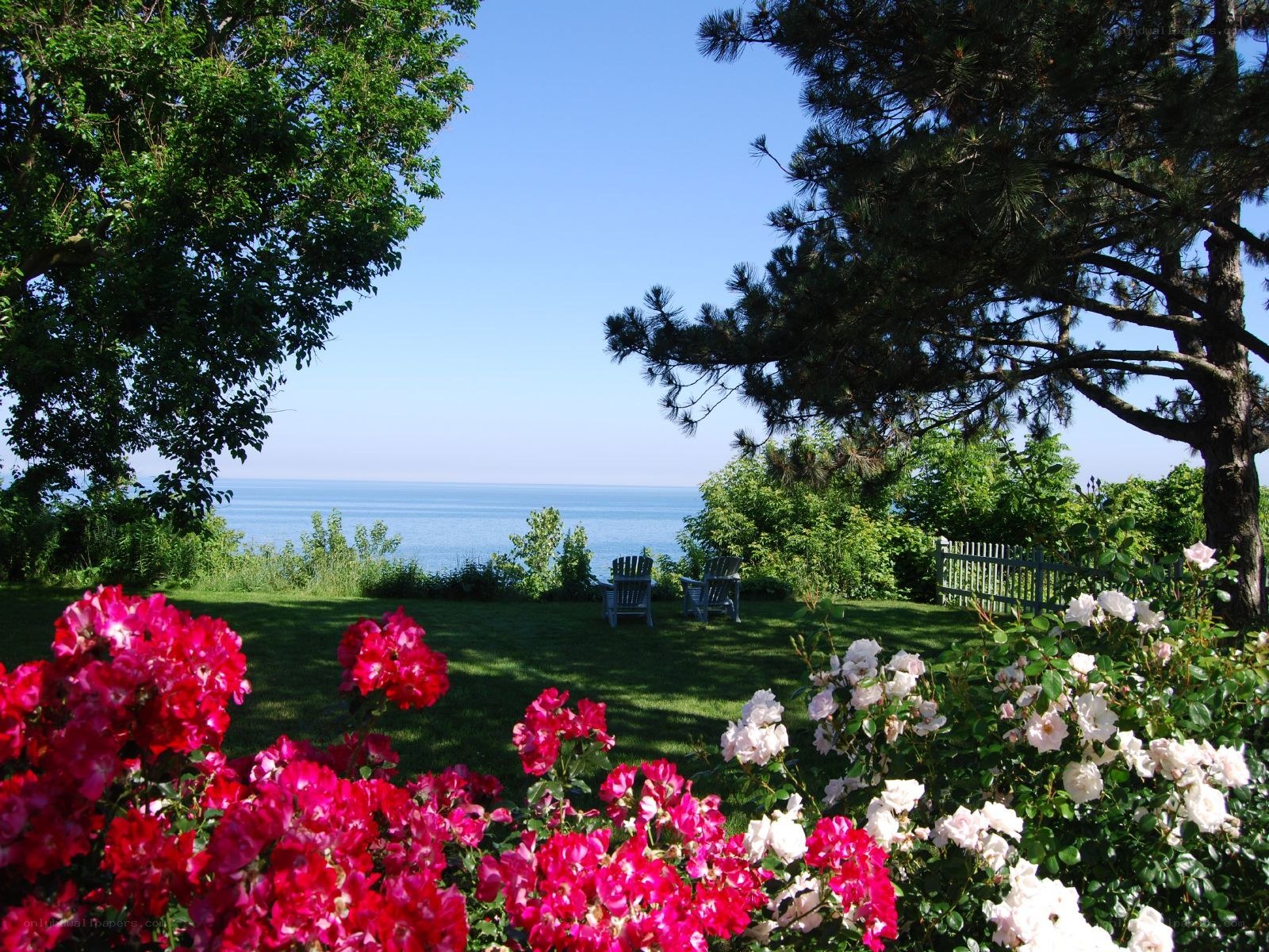 Garden overlooking the sea