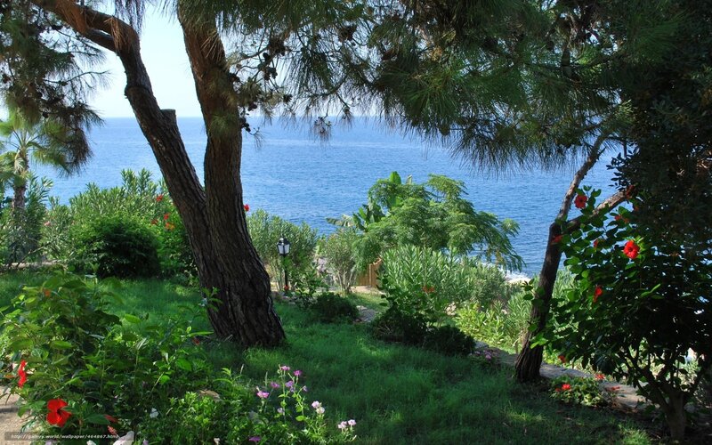 Garden Overlooking the Sea — Green