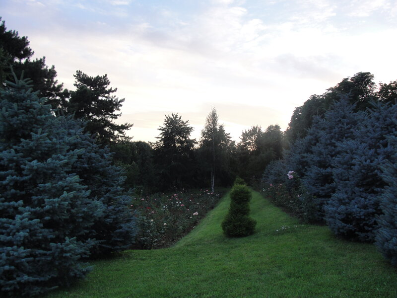 Garden path at dusk