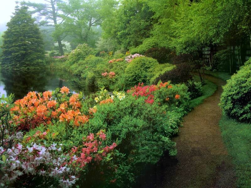 Garden path by a pond