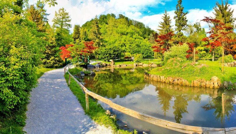 Garden path by a pond
