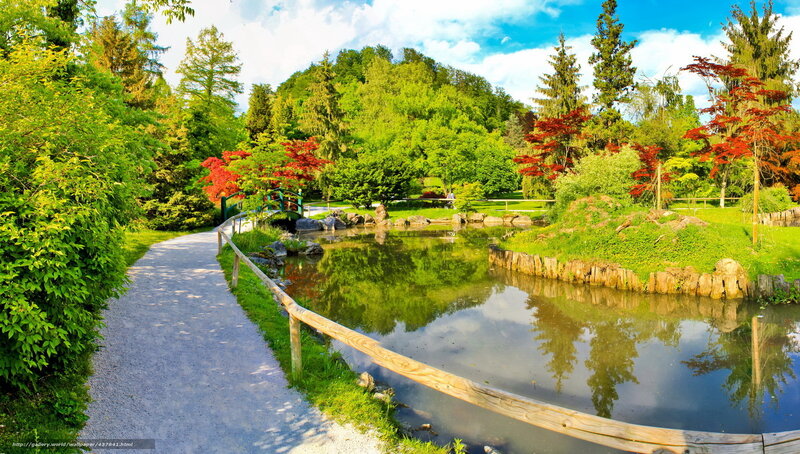Garden path by pond