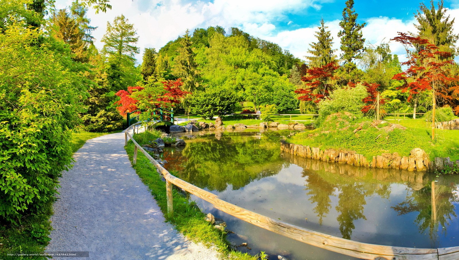 Garden path by pond