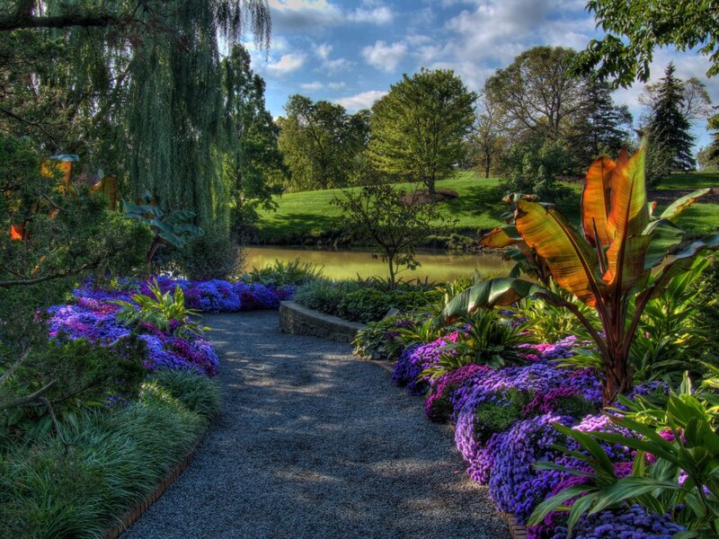 Garden path by the pond