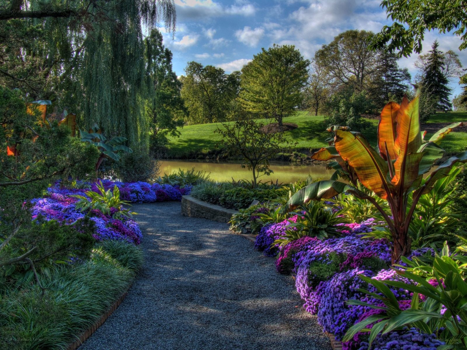 Garden path by the pond