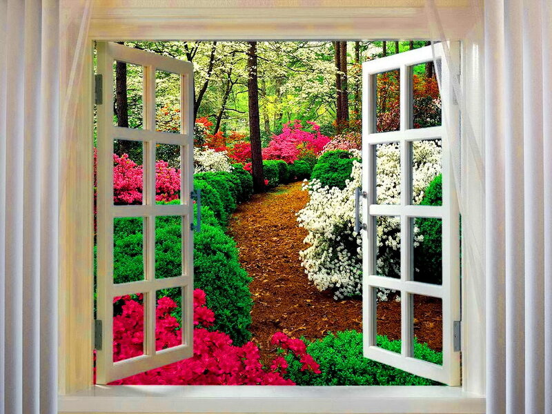 Garden Path Through Forest