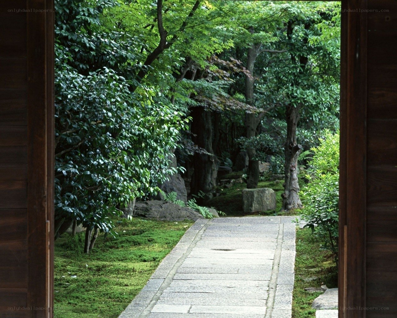 Garden path through wooden gate