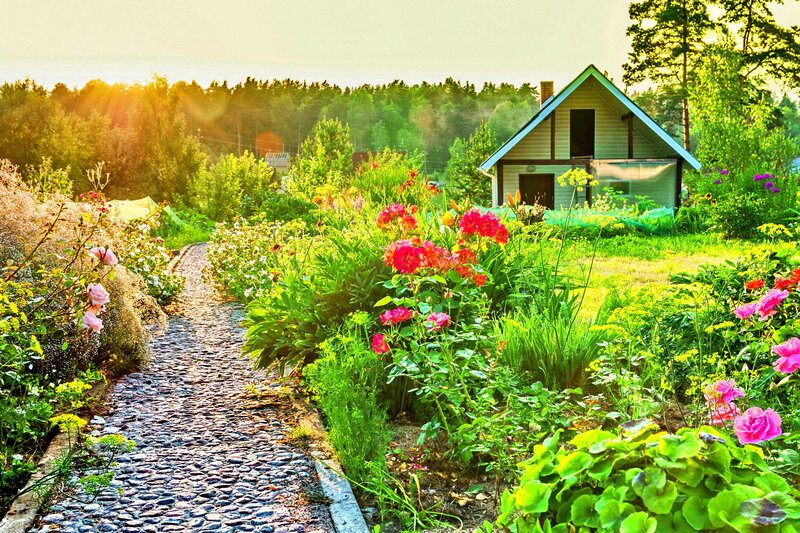 Garden Path to Cottage — Green, Serene