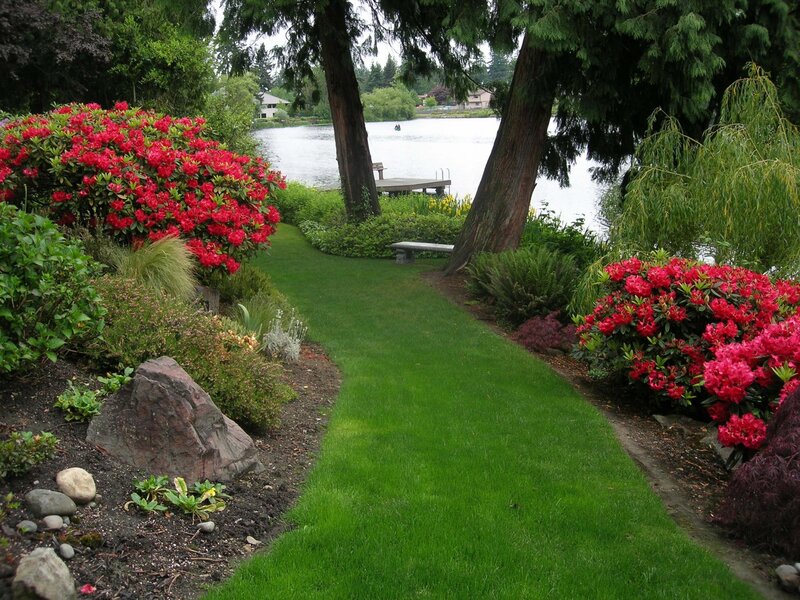 Garden Path to Lake