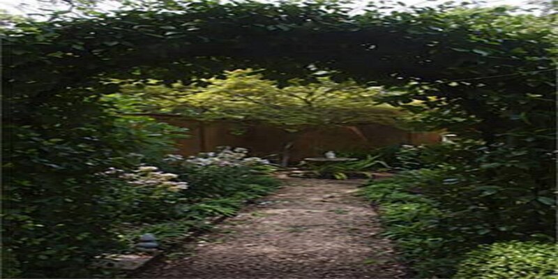 Garden Path under Arbor