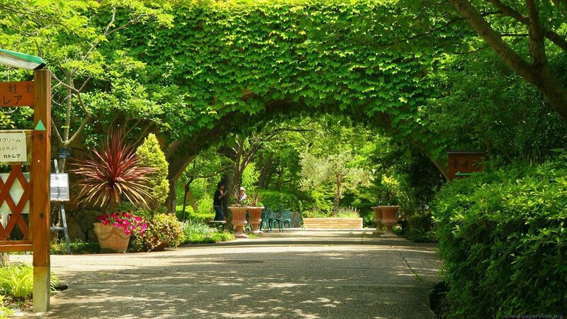 Garden path under leafy arch