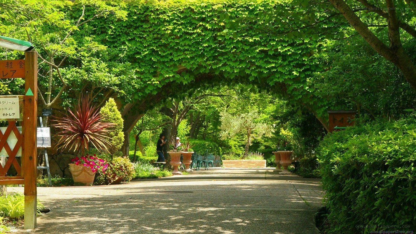 Garden path under leafy arch