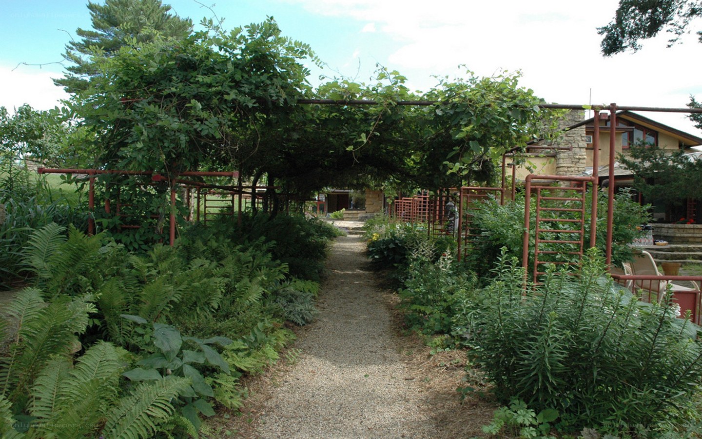 Garden path with arbor
