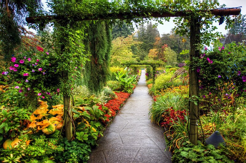 Garden Path with Archway — Green, Serene
