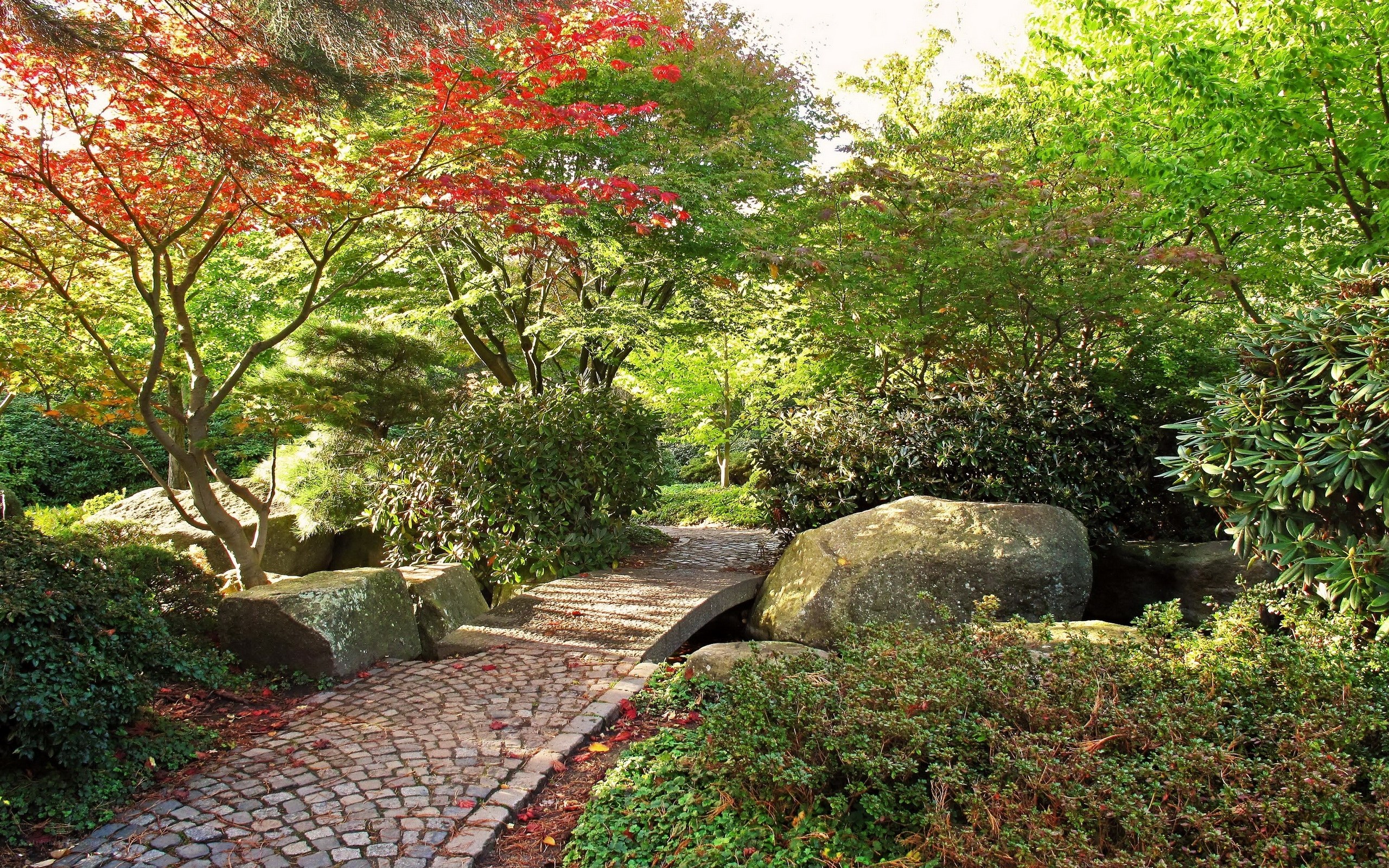 Garden path with autumn leaves