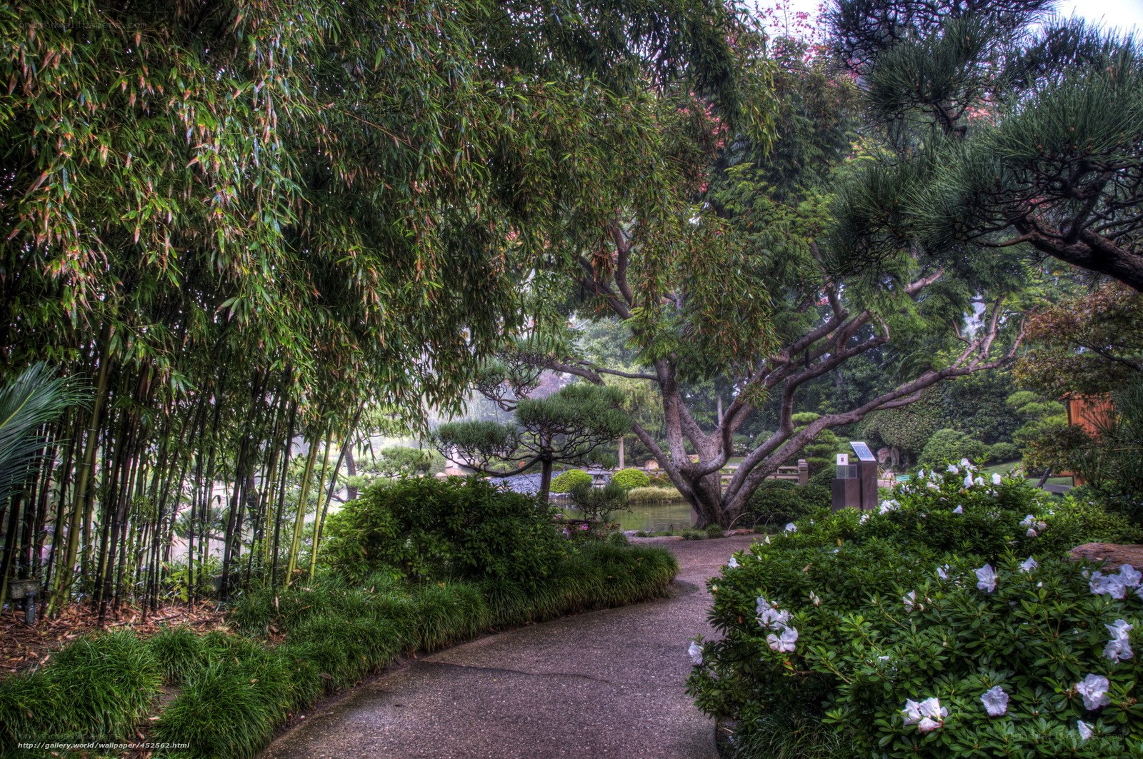 Garden path with bamboo and flowers