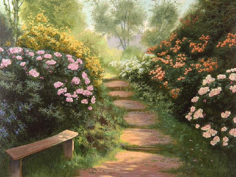 Garden path with bench