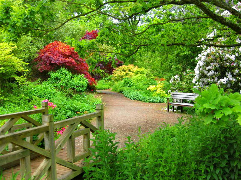 Garden Path with Bench — Green, Serene, Afternoon, Photograph