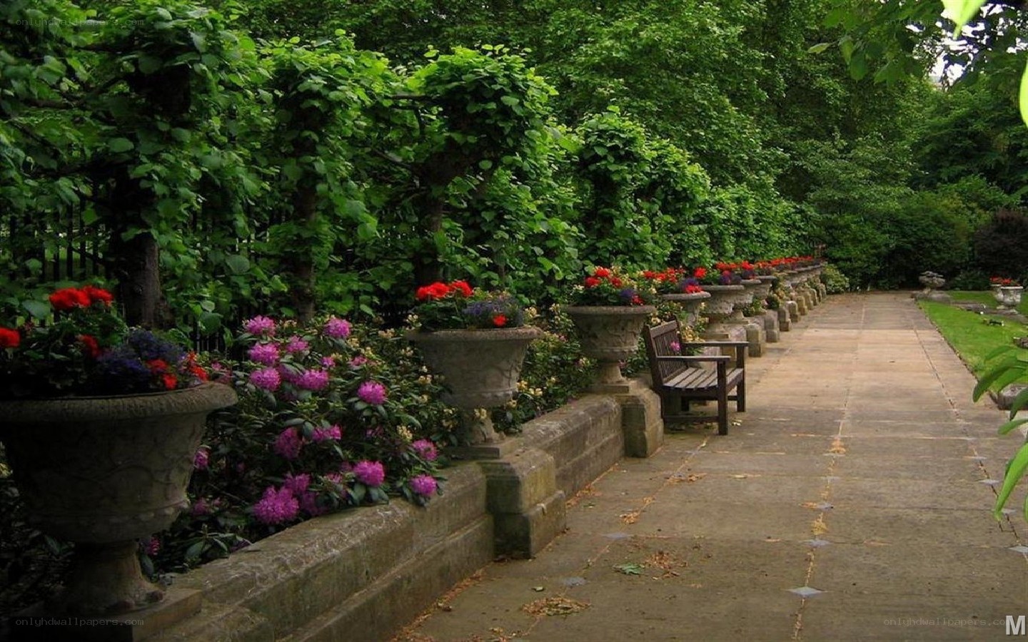 Garden path with benches