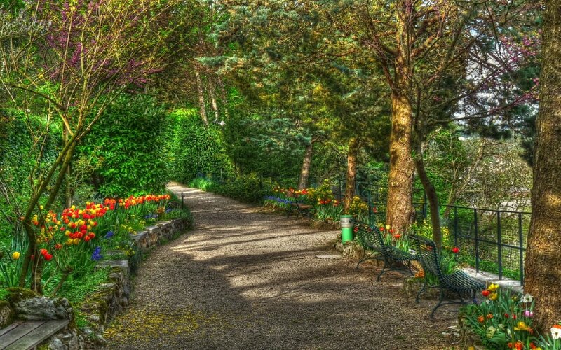 Garden path with benches