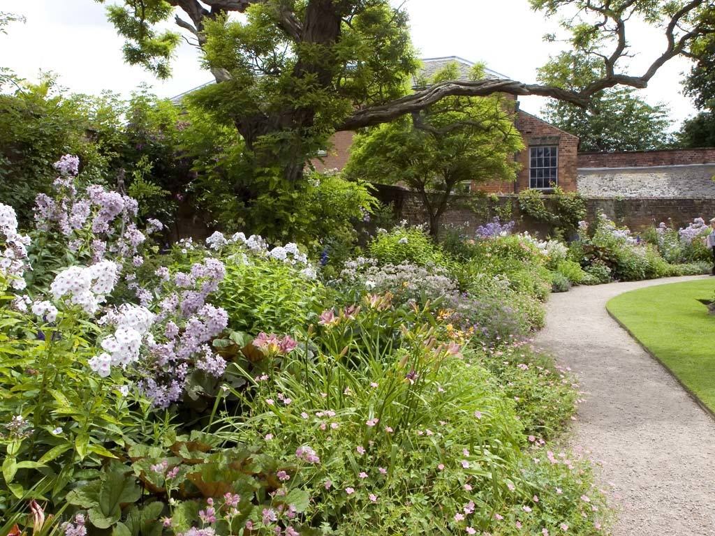 Garden path with blooming flowers