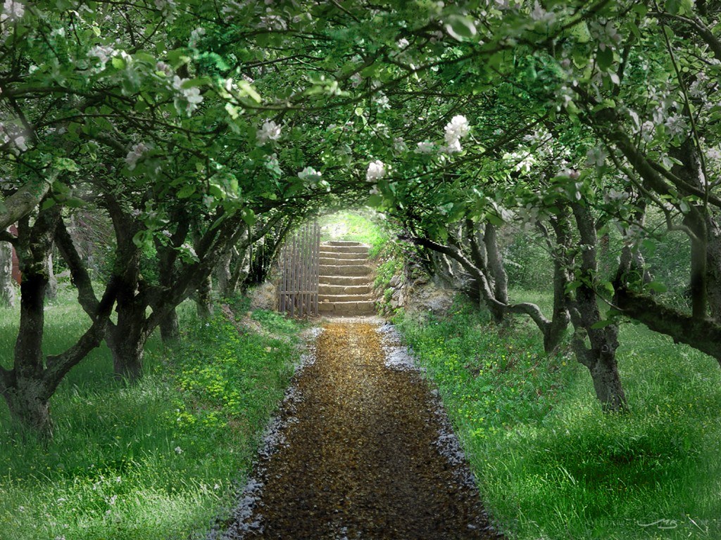 Garden path with blooming trees