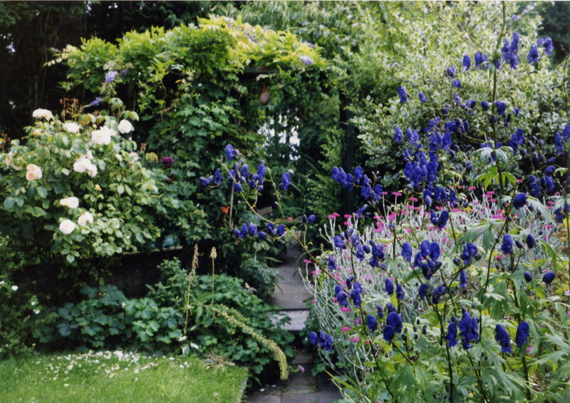 Garden path with blue and white flowers