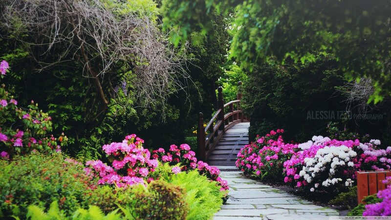 Garden Path with Bridge