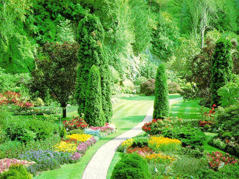 Garden path with colorful flowers