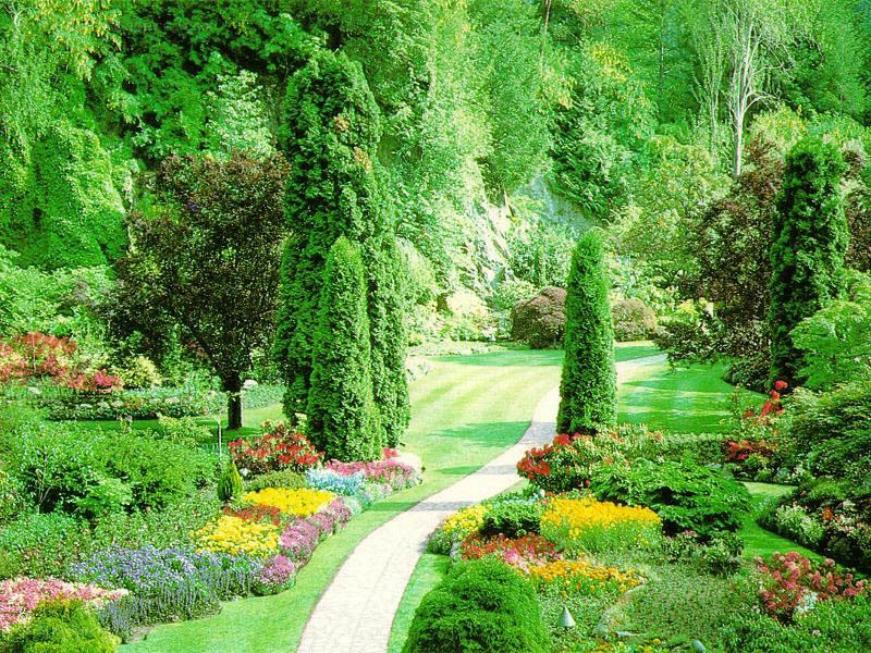 Garden path with colorful flowers