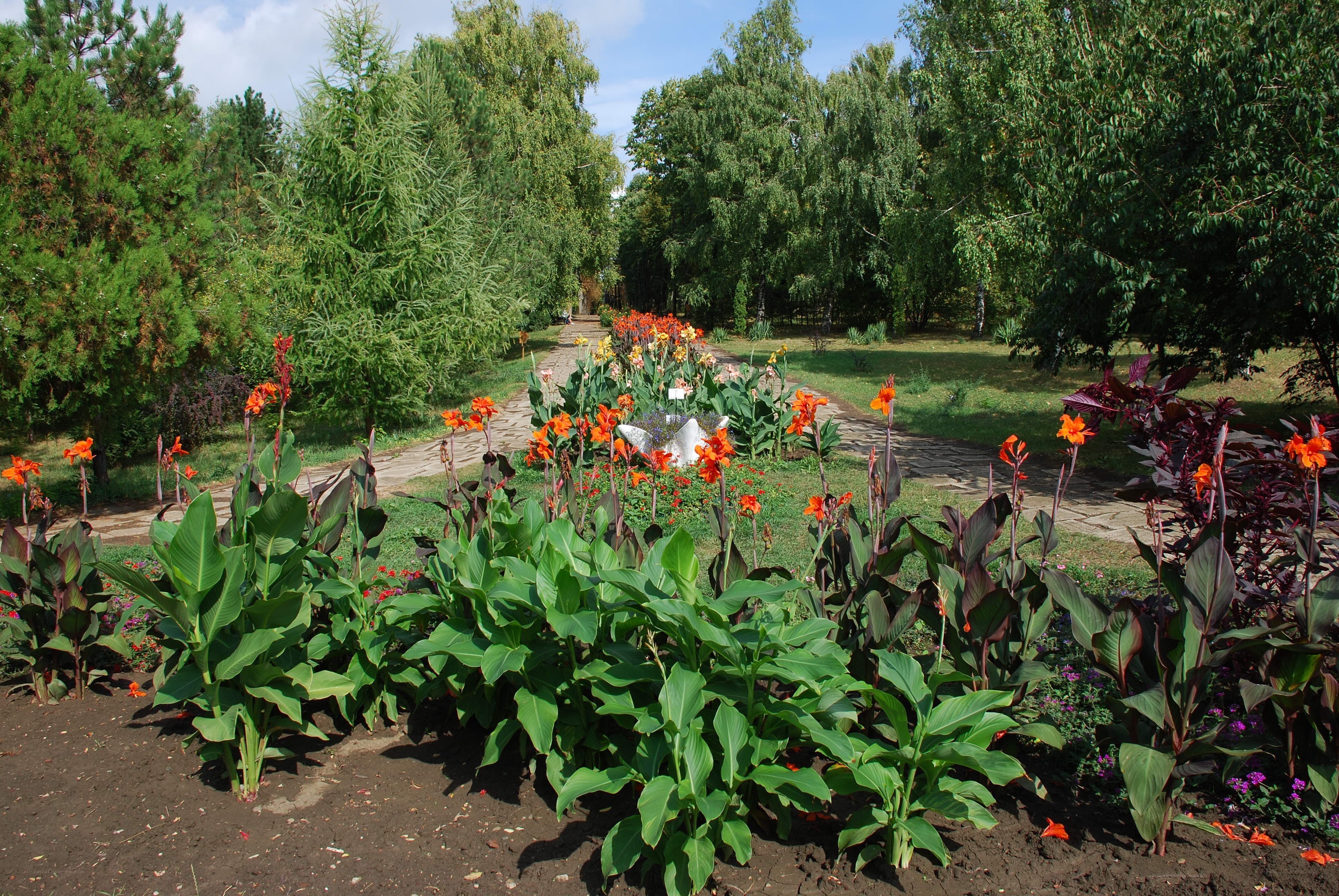 Garden path with colorful flowers