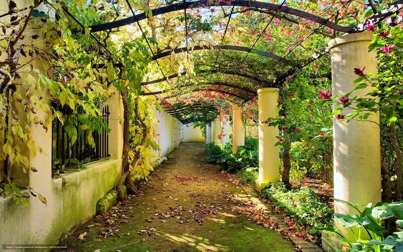 Garden path with floral arch