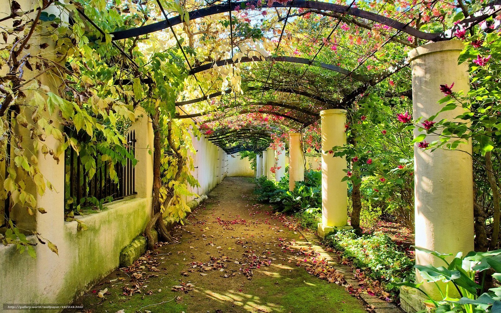 Garden path with floral arch