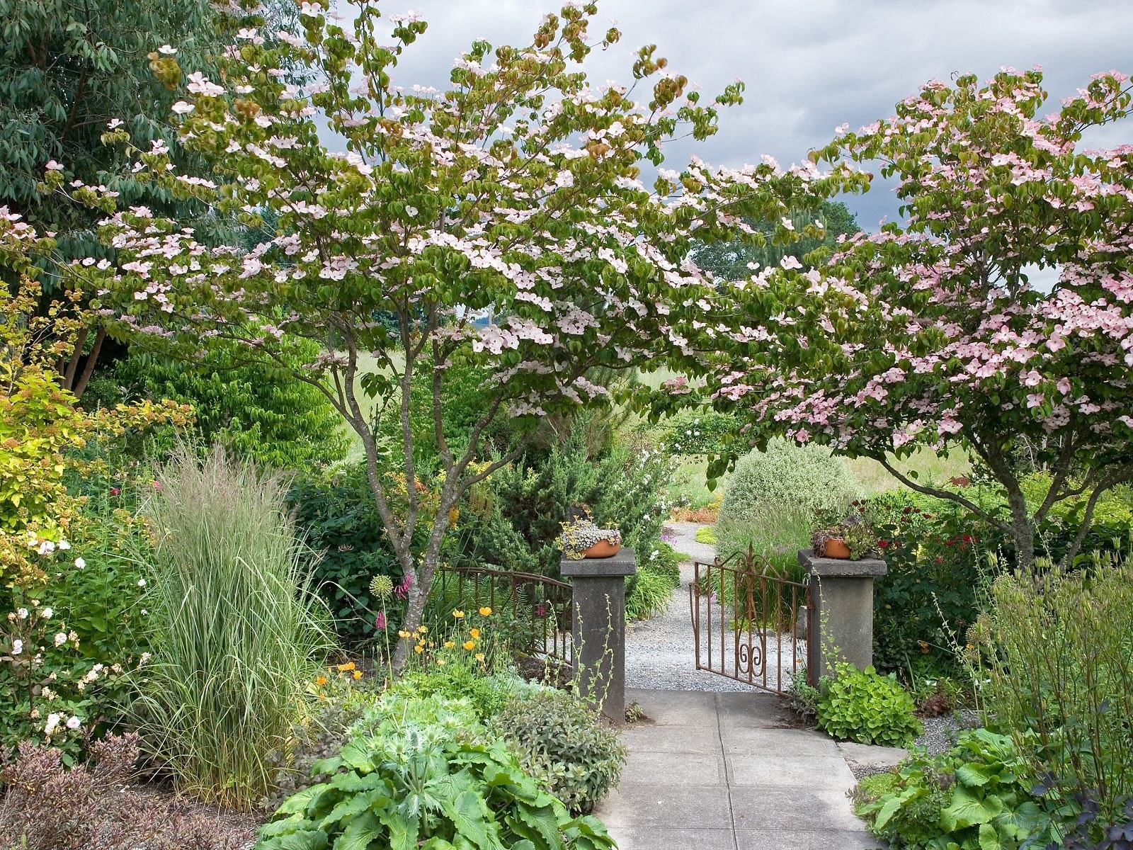 Garden path with flowering trees